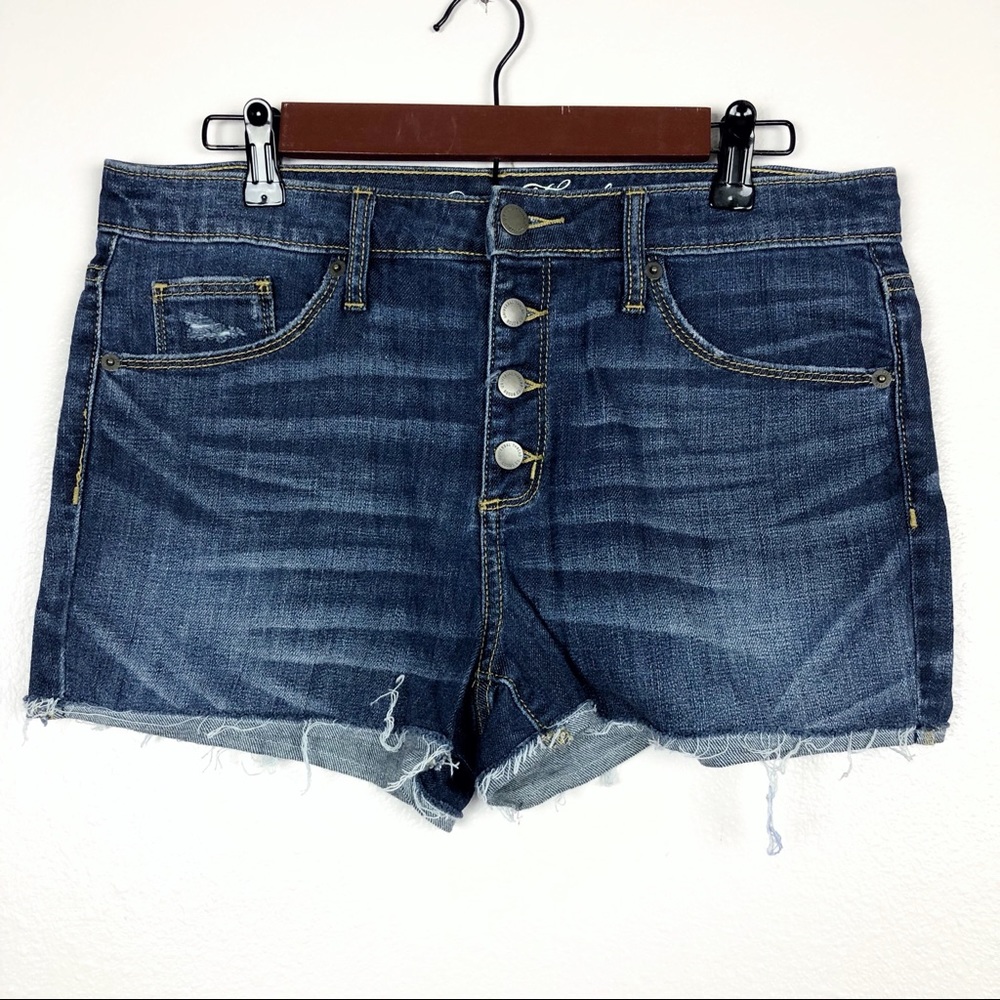 🌿 universal thread button fly shorts